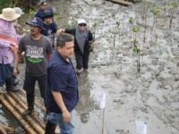 Wali Kota Makassar: Menanam Mangrove, Selamatkan Lingkungan dan Gerakkan Ekonomi