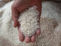 KPPU Sisir Gudang Bulog Bulukumba, Telusuri Dugaan Kartel di Balik Harga Beras Melonjak