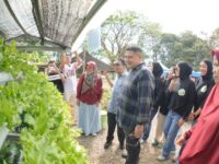 Makassar Launching Urban Farming: Solusi Hijau di Tengah Padatnya Kota