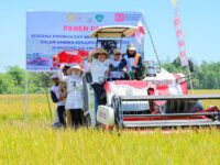 Panen Raya di Maros, Fatmawati Rusdi: Sulsel Catat Surplus Beras 1,21 Juta Ton Tahun Ini