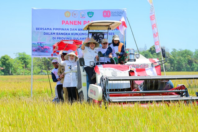 Panen Raya di Maros, Fatmawati Rusdi: Sulsel Catat Surplus Beras 1,21 Juta Ton Tahun Ini