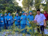 Inovasi GEMOIH Bulukumba Bersaing di Kompetisi Internasional Sektor Publik COPSI Award 2025