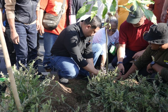 Munafri Hadiri Penanaman 1.000 Pohon Tabebuya, Ajak Warga Rawat Toleransi dan Lingkungan